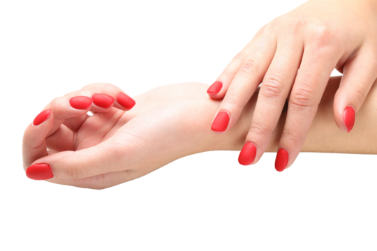 PNG, Winter cosmetics, female hands with red nails, isolated on white background.