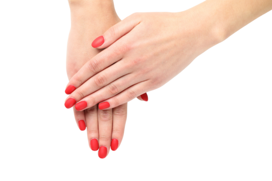 PNG, Winter cosmetics, female hands with red nails, isolated on white background.