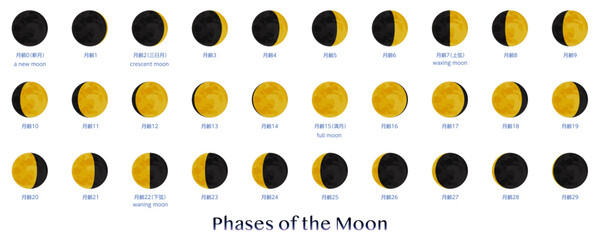 月の満ち欠け　背景無し