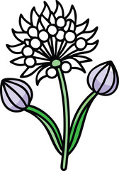 Chive Flower Vector Illustration, Vector illustration of a chive plant with blooming flower and buds, showcasing its delicate petals and herbal characteristics.
