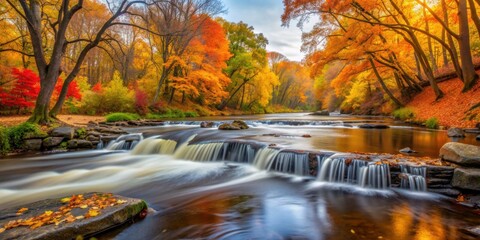 Colorful autumn leaves on trees and in the Minnehaha Creek water, captured with a long exposure , Fall, leaves