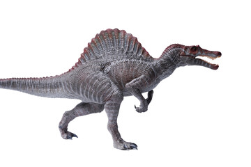 Obraz premium Spinosaurus dinosaurs toy on white background