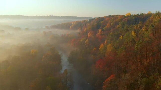 Aerial scene of beautiful foggy forest in autumn with yellow and orange foliage. Bird's eye early morning view of trees and river. Fall city park scenery in Vilnius, Lithuania.