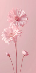 Naklejka premium Beauty pink flower on pink background