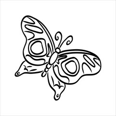 butterfly doodle