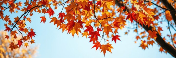 A beautiful shot of colorful autumn leaves falling gracefully from a tree, vibrant, autumn