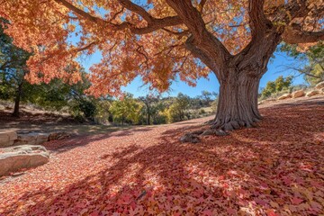 Naklejka premium A vibrant autumn scene with a large tree and a carpet of colorful fallen leaves.