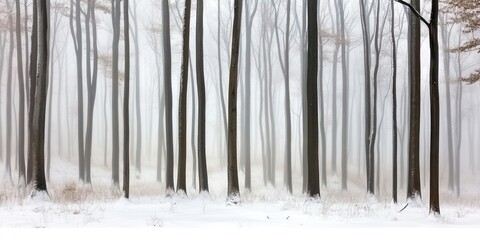 A serene winter forest shrouded in fog, creating a tranquil and mysterious atmosphere.