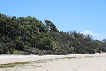 stairs lead from the beach up a distant forested hillside