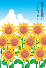 ひまわりの暑中見舞い状
