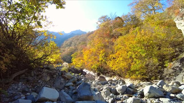 紅葉が見ごろの谷川岳のマチガ沢