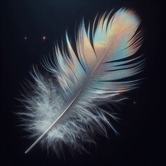 Feather A single white feather falling its holographic surface s