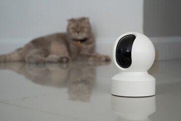 home security camera Smart CCTV cameras detect your beloved cat for safety.
