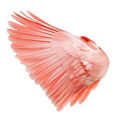 Obraz premium A stunning close-up of a pink bird wing showcasing vibrant feathers and intricate patterns.