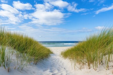 Sandy path through dune grass leading to the ocean.
