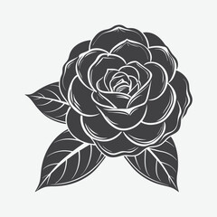 Camellia Flower Vector Illustration Isolated On White Background Botanical Floral Art Design