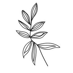 Flower Illustration