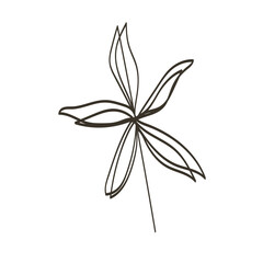 illustration of a flower
