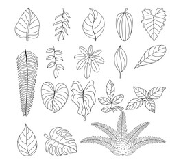 leaf line silhouette, leaves outline illustration, silhouette foliage, flora simple shape, leaf clip art