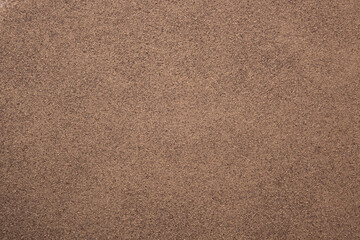 Pimienta negramolida