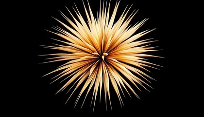 Fototapeta premium Abstract Golden Starburst.