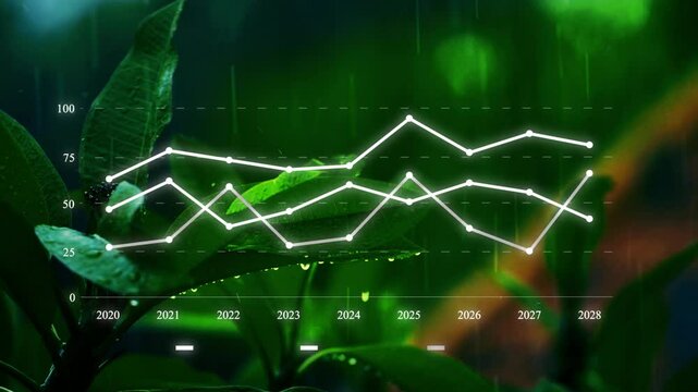Digital White bar chart with growing business concept. Hi-tech style .raining shower in the dense forest, close-up of rainfall in jungle, water droplets fixed on green leaves, Raining day in tropical 