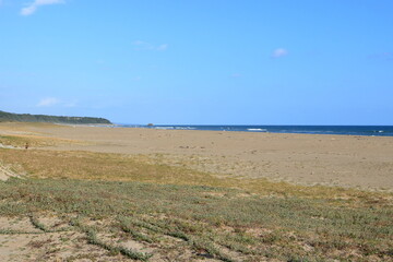 渥美半島の砂浜と太平洋