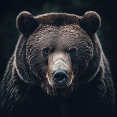 Close-up portrait of a majestic brown bear with piercing eyes