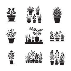 Tree silhouette with tree pot. Indoor tree silhouette. Small tree vector silhouette black and white.