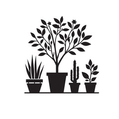 Tree silhouette with tree pot. Indoor tree silhouette. Small tree vector silhouette black and white.