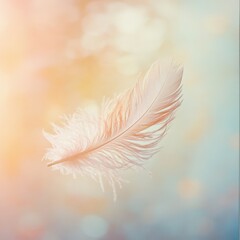 Delicate feather floating in soft, dreamy light