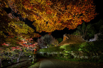 飛騨民俗村 飛騨の里 秋のライトアップ 岐阜県高山市