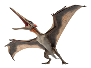 A Pterosaur Dinosaur Figurine