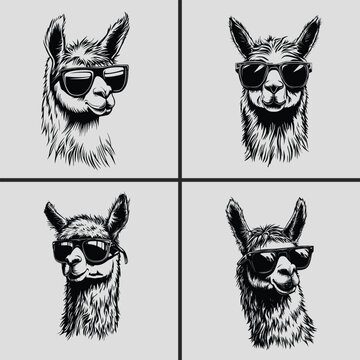 Llama with Sunglasses Svg, Alpaca Head Svg, Llama Vector Svg, Llama Silhouette Vector, Llama Head Vector Svg, Llama Face Svg, Funny Alpaca Head Svg, Animal Svg, Apaca Head Bundle, Llama Head Bundle