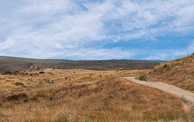 Beautiful mountainous landscape dry central otago new zealand yellow desert