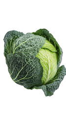 Fototapeta premium Fresh green ripe cabbage