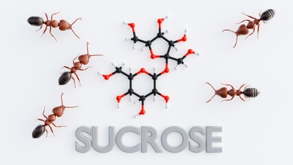 Ants are attracted to sucrose, often preferred over other sugars, because it's a concentrated energy source that's lightweight and easy to carry; 3d rendering.