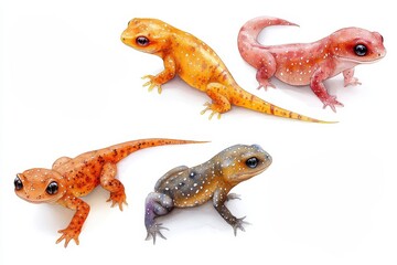 Obraz premium A collection of colorful, realistic-looking gecko-like creatures on a white background.