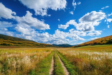 Fototapeta premium A dirt road cuts through a field of tall grass and leads toward a distant mountain range. The sky is blue and cloudy.