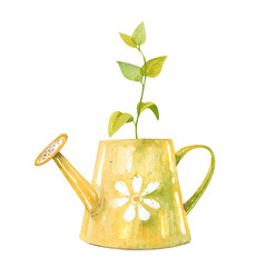 Green sprout in the yellow watering can with white daisy hand drawn watercolor illustration  © Eva Kleinman