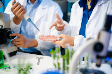 Team of scientists examining food samples in a lab with microscopes. Perfect for themes of food science, biotechnology,