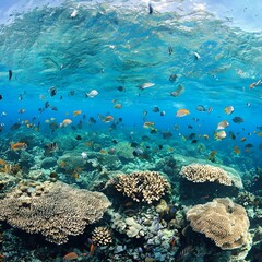 Fototapeta premium Beautiful sea and beautiful fishes like a world made up of the most beautiful fishes and coral reefs in the ocean