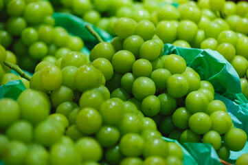 Colorful fresh grapes selling at market