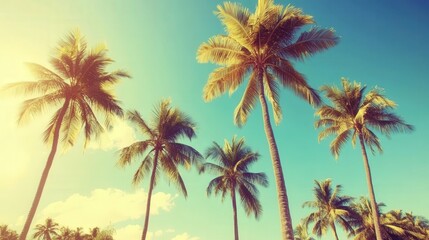 Fototapeta premium Tropical palm trees against a vibrant blue sky with fluffy white clouds