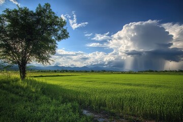 Obraz premium A lone tree stands in a lush green field, with a dramatic stormy sky and mountains in the background.