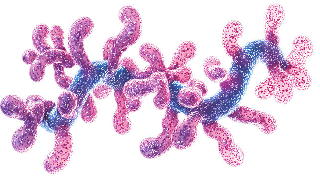 Detailed illustration of mycoplasma bacteria structure on a white background, emphasizing its distinctive shape.