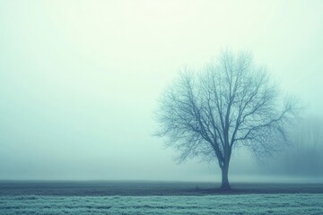 A lone tree stands in a misty field.