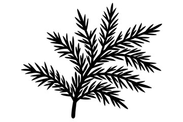 Vector illustration of Christmas tree branch.