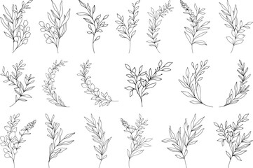Botanical Line Art Collection of Elegant Herb and Leaf Stems, Minimalist Floral Illustrations for Nature-Inspired Design, Wedding Decor, and Eco-Friendly Projects