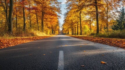 Scenic Autumn Road Lined With Vibrant Trees Showcasing Fall Colors in a Tranquil Setting. Generative AI